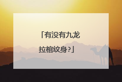 有没有九龙拉棺纹身?