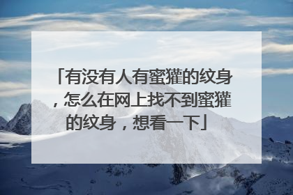 有没有人有蜜獾的纹身，怎么在网上找不到蜜獾的纹身，想看一下