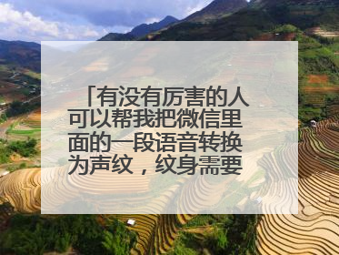 有没有厉害的人可以帮我把微信里面的一段语音转换为声纹，纹身需要，十分感谢。