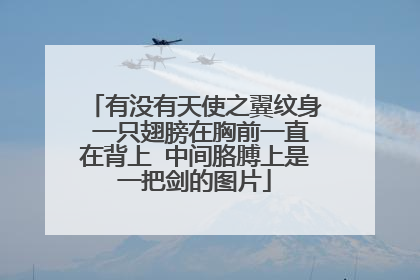 有没有天使之翼纹身 一只翅膀在胸前一直在背上 中间胳膊上是一把剑的图片