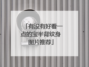 有没有好看一点的宝半背纹身图片推荐