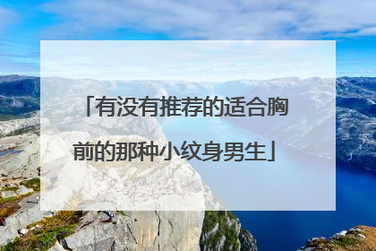 有没有推荐的适合胸前的那种小纹身男生