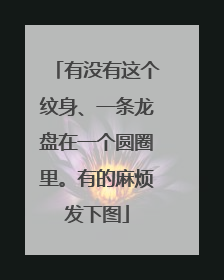 有没有这个纹身、一条龙盘在一个圆圈里。有的麻烦发下图