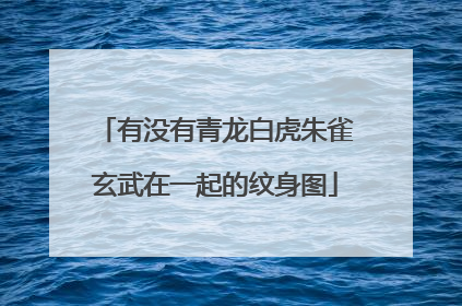 有没有青龙白虎朱雀玄武在一起的纹身图