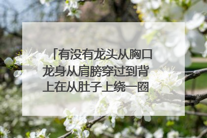 有没有龙头从胸口龙身从肩膀穿过到背上在从肚子上绕一圈的纹身图片