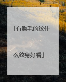 有胸毛的纹什么纹身好看