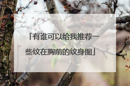 有谁可以给我推荐一些纹在胸前的纹身图