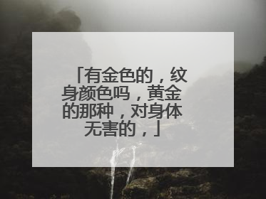 有金色的，纹身颜色吗，黄金的那种，对身体无害的，