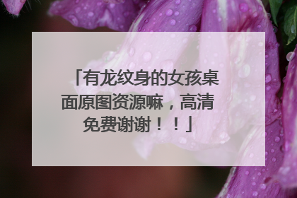 有龙纹身的女孩桌面原图资源嘛，高清免费谢谢！！