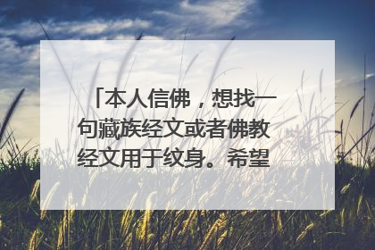 本人信佛，想找一句藏族经文或者佛教经文用于纹身。希望懂的人说下谢谢。