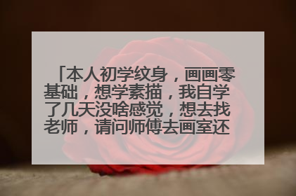 本人初学纹身,画画零基础,想学素描,我自学了几天没啥感觉,想去找老师,请问师傅去画室还是去什么素描