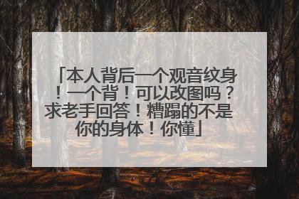 本人背后一个观音纹身！一个背！可以改图吗？求老手回答！糟蹋的不是你的身体！你懂