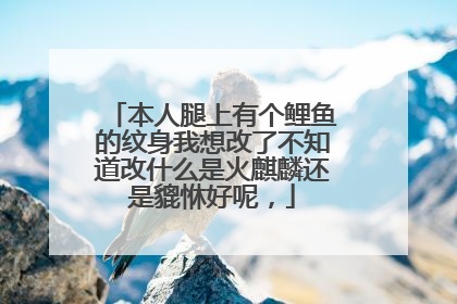 本人腿上有个鲤鱼的纹身我想改了不知道改什么是火麒麟还是貔恘好呢，