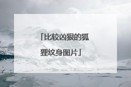 比较凶狠的狐狸纹身图片