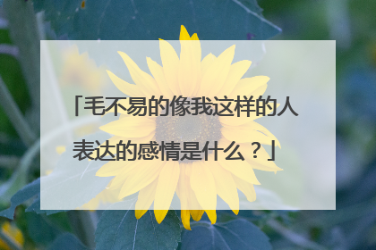 毛不易的像我这样的人表达的感情是什么？