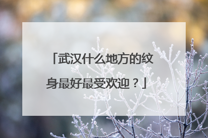 武汉什么地方的纹身最好最受欢迎？