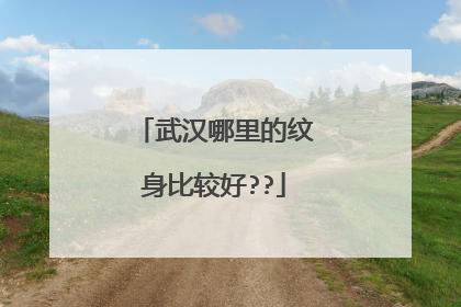 武汉哪里的纹身比较好??