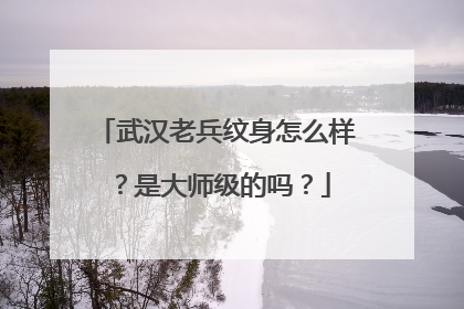 武汉老兵纹身怎么样？是大师级的吗？