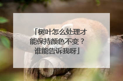 树叶怎么处理才能保持颜色不变？谁能告诉我呀