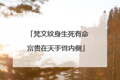 梵文纹身生死有命富贵在天手臂内侧