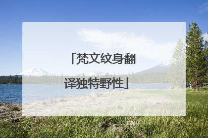 梵文纹身翻译独特野性