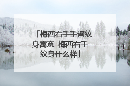 梅西右手手臂纹身寓意 梅西右手纹身什么样