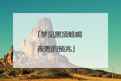 梦见黑顶蛙嘴夜鹰的预兆