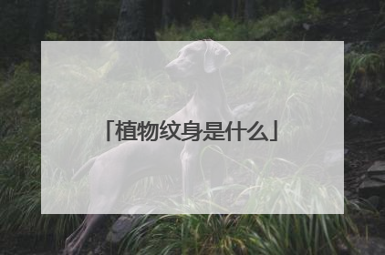 植物纹身是什么