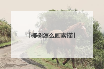 椰树怎么画素描