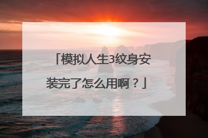 模拟人生3纹身安装完了怎么用啊?