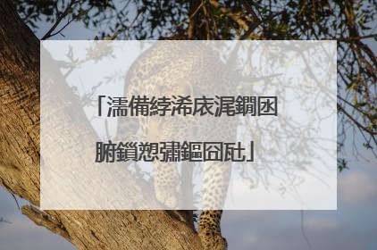 濡備綍浠庡浘鐗囦腑鎻愬彇鏂囧瓧