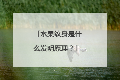 水果纹身是什么发明原理?