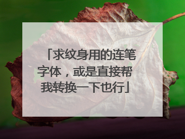 求纹身用的连笔字体,或是直接帮我转换一下也行