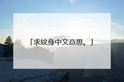 求纹身中文意思。