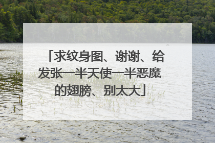 求纹身图、谢谢、给发张一半天使一半恶魔的翅膀、别太大