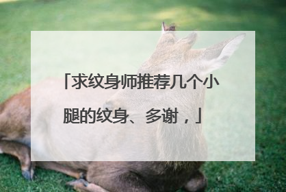 求纹身师推荐几个小腿的纹身、多谢，