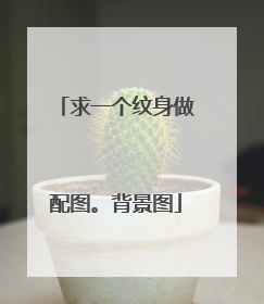 求一个纹身做配图。背景图