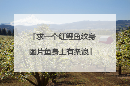 求一个红鲤鱼纹身图片鱼身上有条浪