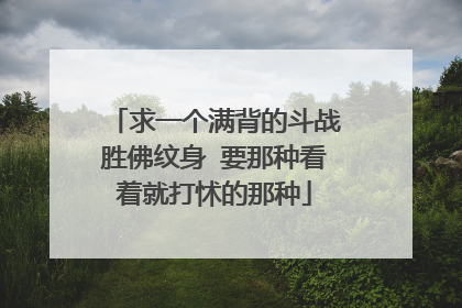 求一个满背的斗战胜佛纹身 要那种看着就打怵的那种