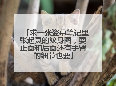 求一张盗墓笔记里张起灵的纹身图，要正面和后面还有手臂的细节也要