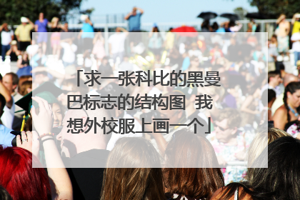 求一张科比的黑曼巴标志的结构图 我想外校服上画一个