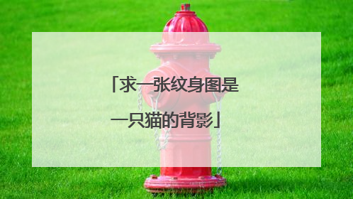 求一张纹身图是一只猫的背影
