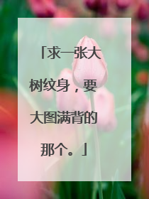 求一张大树纹身，要大图满背的那个。