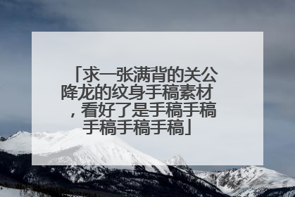 求一张满背的关公降龙的纹身手稿素材，看好了是手稿手稿手稿手稿手稿