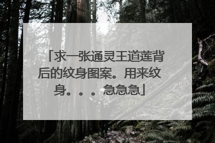 求一张通灵王道莲背后的纹身图案。用来纹身。。。急急急