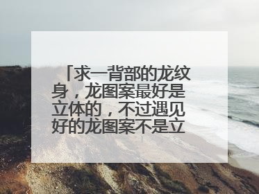 求一背部的龙纹身，龙图案最好是立体的，不过遇见好的龙图案不是立体的也没关系。
