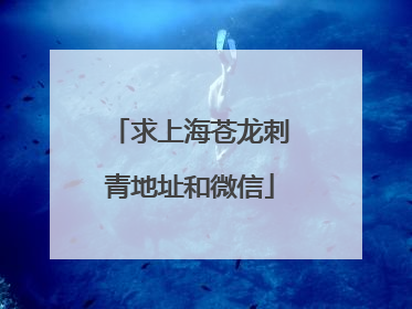 求上海苍龙刺青地址和微信