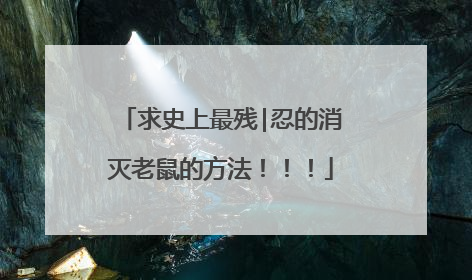 求史上最残|忍的消灭老鼠的方法！！！