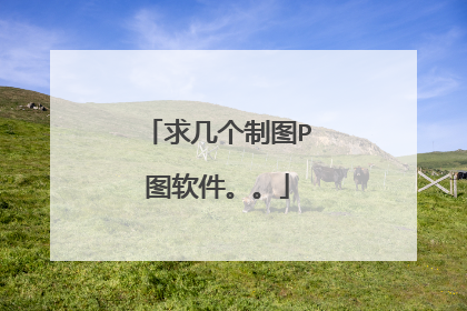 求几个制图P图软件。。