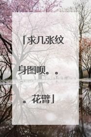 求几张纹身图呗。。。花臂